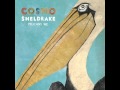 Cosmo Sheldrake - Pelicans We 