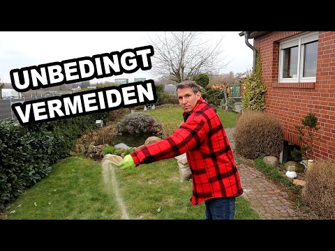 Rasen Kalken - dieser FEHLER macht deinen Rasen schnell kaputt!