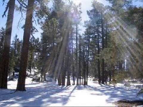 Marco Antonio Solis y Los Bukis - Tu eres mi lugar (Mas yo dudo)