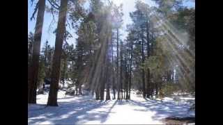 Marco Antonio Solis y Los Bukis - Tu eres mi lugar (Mas yo dudo)