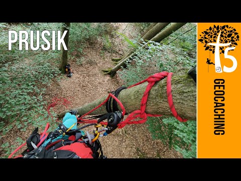 Mit Prusik Baumklettern - Geocaching T5