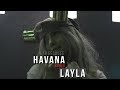 Angela Lee - Layla (Havana Parody)