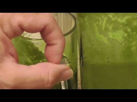 download lagu mp3 mp4 Cold Press Blender, download lagu Cold Press Blender gratis, unduh video klip Cold Press Blender