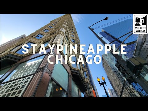 Staypineapple Chicago, an Iconic Hotel Review - Great Hotels in Downtown Chicago