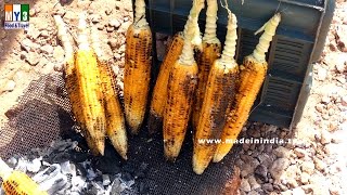 Grilled in foil CORN ON THE COB | How To Perfectly Cook Corn On The Cob street food