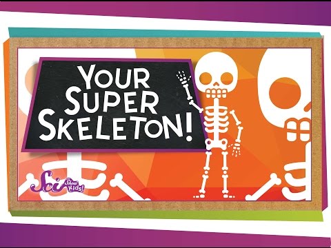 Your Super Skeleton!
