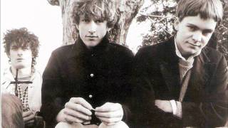 The Clean - Beatnik.