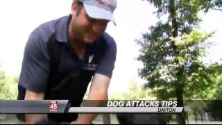 How to Protect Yourself if a Dog Attacks