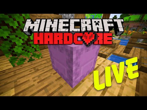 Shulker Box Hunting | HARDCORE Minecraft 100% Advancements Challenge