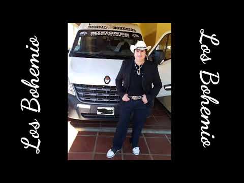 Selección musical Bohemio (vivo) #garupa #misiones