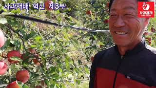 [사과재배] 100% 착색된 이유/당도높고 열매단단한 이유 /경북 봉화군 무갈반농법 김기현님/혁신재배 제3부…