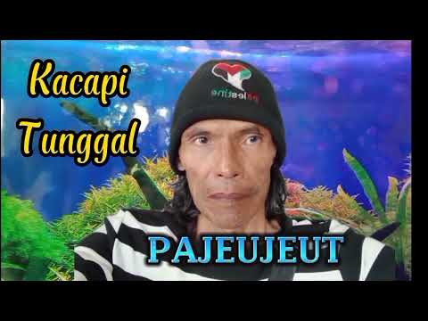 Kacapi Tunggal PAJEUJEUT -  DARSO - cover by Baban Asgar..