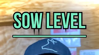 THE IMPORTANCE OF SOW LEVEL