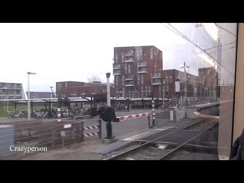 Metrorit Hoge snelheid: Berkel Westpolder - Pijnacker 2019