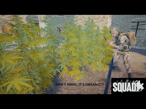 WELCOME TO SQUAD - Squad 1.0