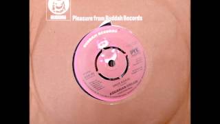 Aquarian Dream...  Phoenix .1976