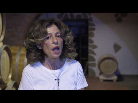 Uzgoj GROZDJA i proizvodnja VINA Vinarije Grabak - U nasem ataru 905