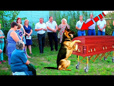 , title : 'Пёс пришёл на похороны хозяина. То, что произошло дальше, заставило всех плакать!'