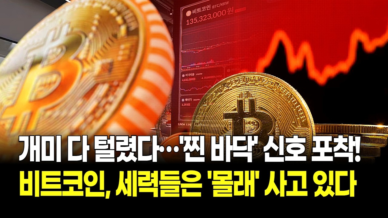 비트코인 4년 주기 막바지, 세력들은 몰래 사고 있다…개미 다 털렸다! '찐 바닥' 신호 포착
