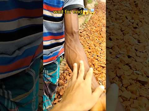 Ranking forearm exercises#forearms #handgripper #amazonfinds