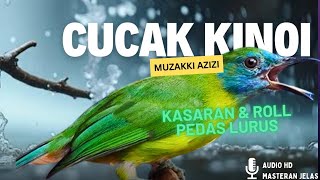 Download lagu CUCAK KINOI GACOR KASARAN ROLL PEDAS || KINOI GACOR FULL TEMBAKAN VARIASI || CUCAK KINO GACOR DOR mp3 Download lagu CUCAK KINOI GACOR KASARAN ROLL PEDAS || KINOI GACOR FULL TEMBAKAN VARIASI || CUCAK KINO GACOR DOR mp3