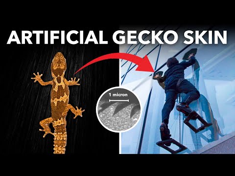 Climb Anything with This Artificial Gecko Skin