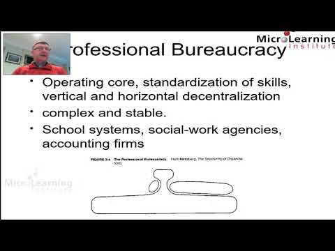 1510 Minzberg Org Structure