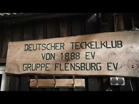 Hindernislauf Teckelgruppe Flensburg e.V. DTK 1888 e.V.  Teckel Dackel