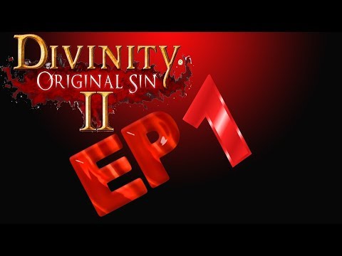 Divinity: Original Sin 2 - Ep 1 - Wild Witches