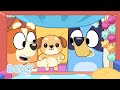 LIVE Playing In The Heeler House 1 HOUR Bluey