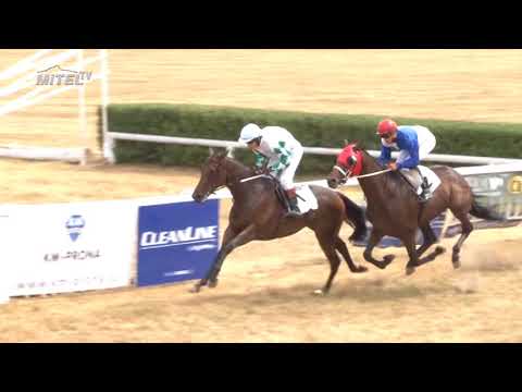 MI, 4. 8. 2018, 1. dostih - Cena PIVOVAR SVIJANY, a.s.