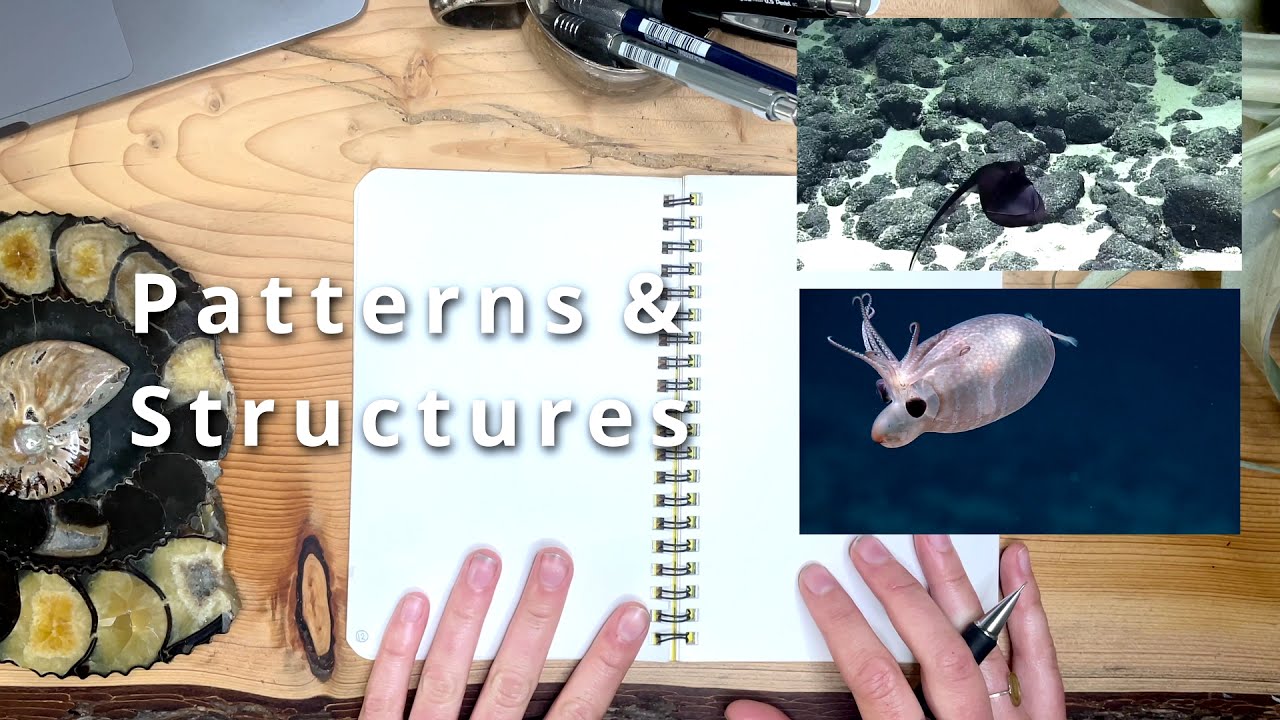 Fieldnotes: Where Art Meets Exploration