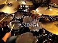Toto "Animal" Drum Cover