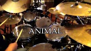 Toto &quot;Animal&quot; Drum Cover
