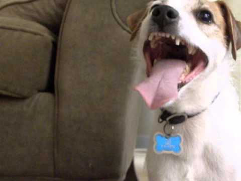 Taz & Target Heart Zone