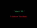 Reed KD 'Cactus Garden' 