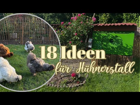 18 Hühnerstall-Hacks für deine Hühner im Garten - DIY Tipps 🛠️