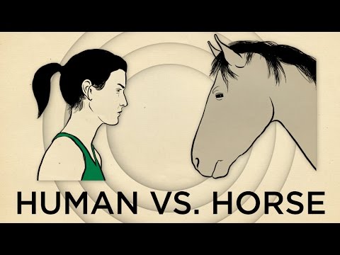 The 22 Mile Horse V Human Marathon