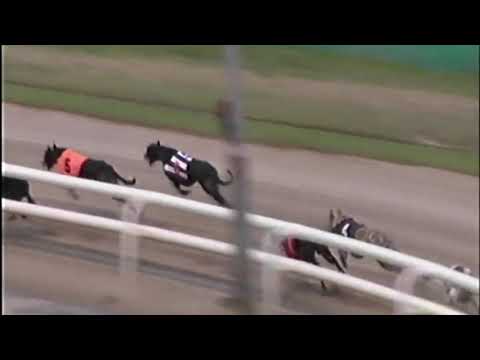 Monmore 25th May 2019 - Droopys Live Trap 2