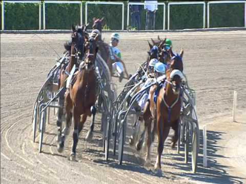 Trotto 30/04/2017 - 4ª corsa