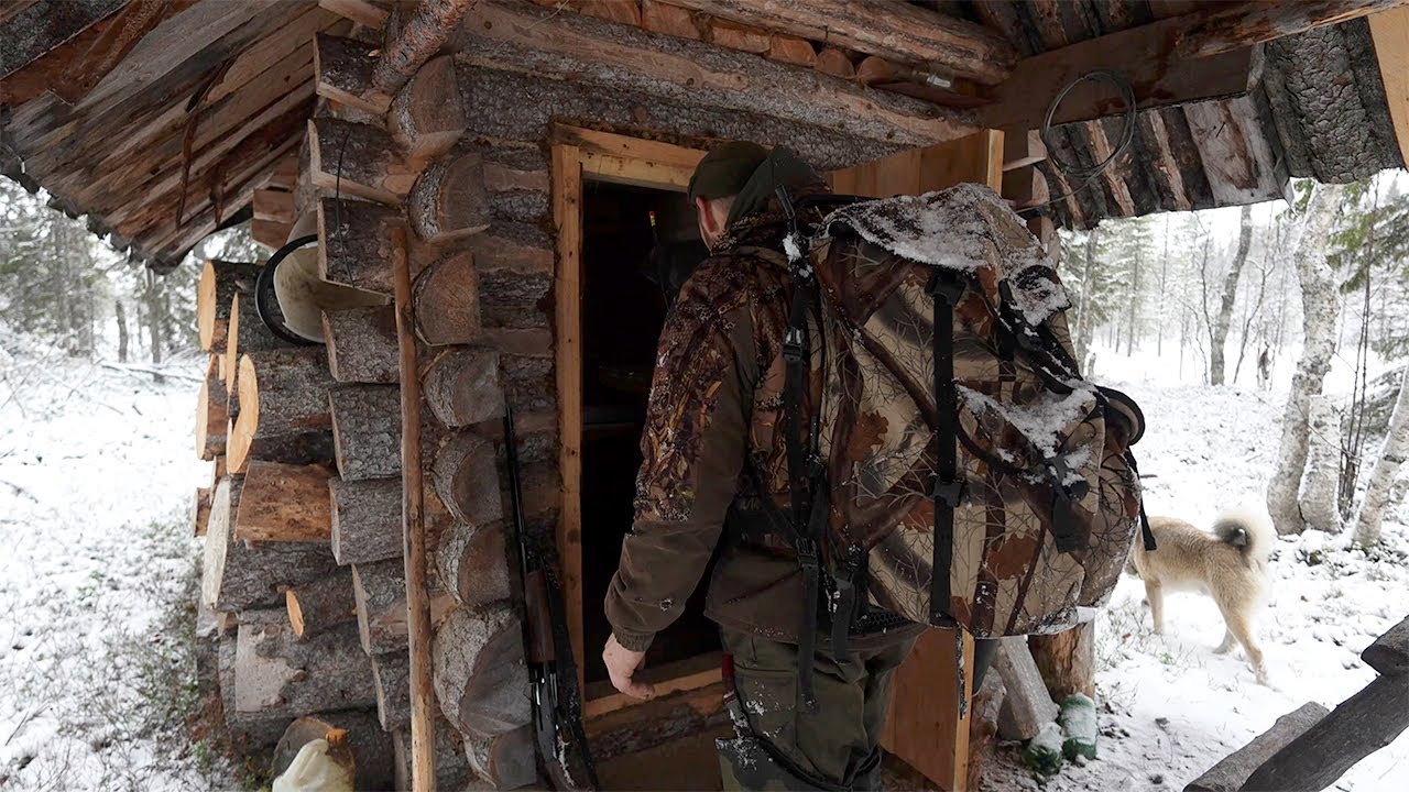 ЖИВУ В ИЗБЕ, НОЧЬЮ ВОКРУГ ХОДЯТ ВОЛКИ. НАЧАЛО СЕЗОНА ПУШНОГО ПРОМЫСЛА 2025-2026Г.