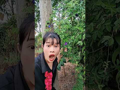 HAHAHA 🤣🤣🤣 so funny. Oh my god, what scared her?🤣 #vanlaugh #funny #viralvideo