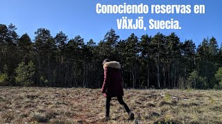 preview picture of video 'Conociendo reservas EN VÄXJÖ, SUECIA'