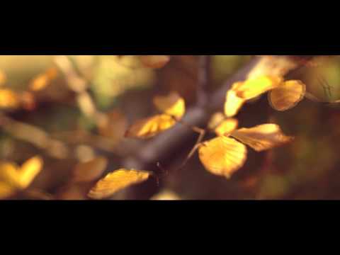 Adam Protz - Movements (Official Music Video)
