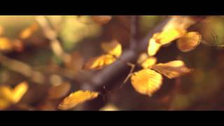 Adam Protz - Movements (Official Music Video)