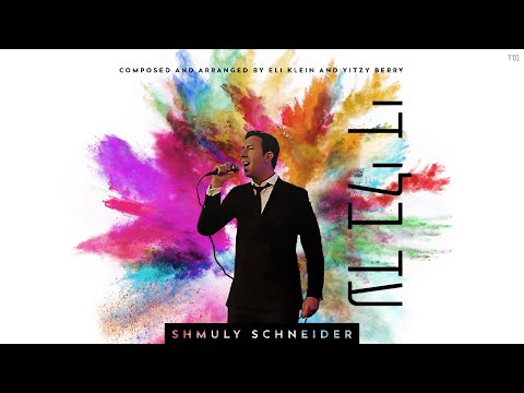 Shmuly Schneider - Ad Bli Dai | שמולי שניידער - עד בלי די (Official Lyric Video)
