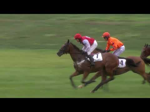 PE, 10. 8. 2019, 8. dostih - Cena za podpory Sportovního parku Pardubice