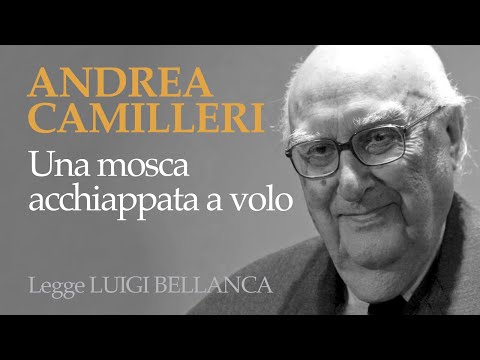CAMILLERI - UNA MOSCA ACCHIAPPATA A VOLO - RACCONTO
