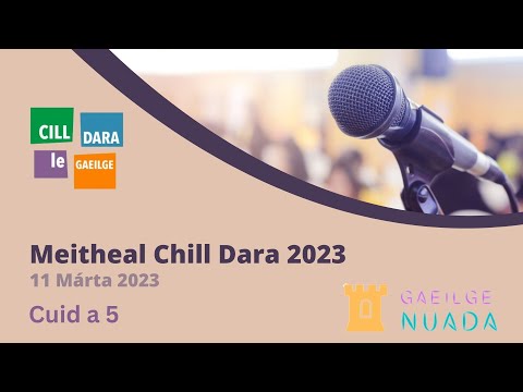 Meitheal Chill Dara 2023 - Cuid 5 - Darren Ó Rodaigh; GaelChultúr