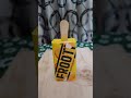 Mango Frooti Se Banaye Icecream Chahat Anand Trick Shorts Ytshorts